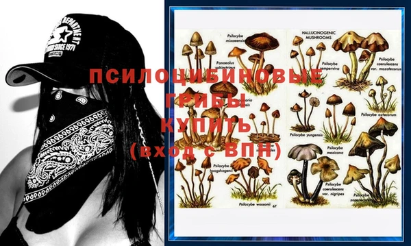 дмт Инта