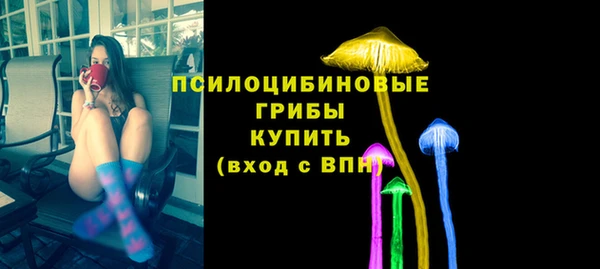 шишки Зерноград
