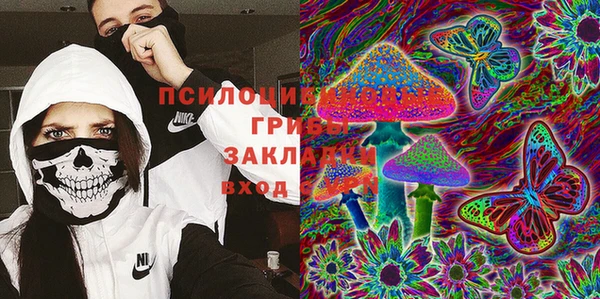 дмт Инта