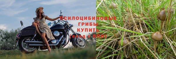 трава Зеленодольск
